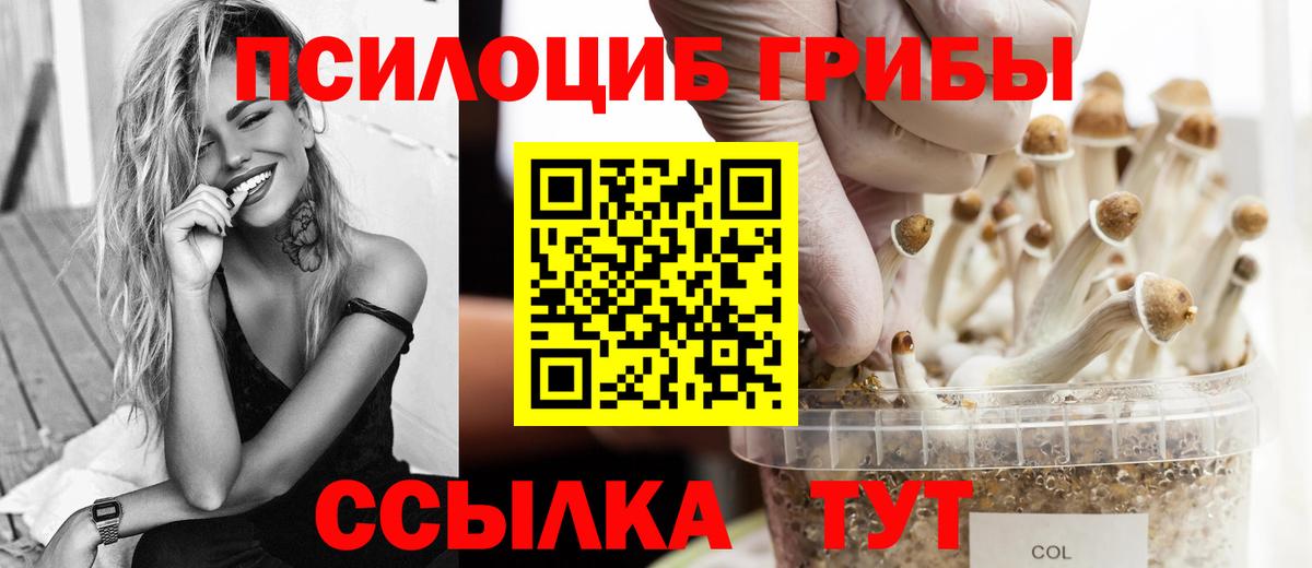 Псилоцибиновые грибы Magic Shrooms Мелеуз